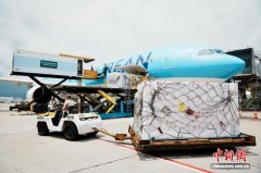 逾420吨海外鲜活产品借助鲜活快线