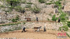 河北涉县：太行梯田春耕忙